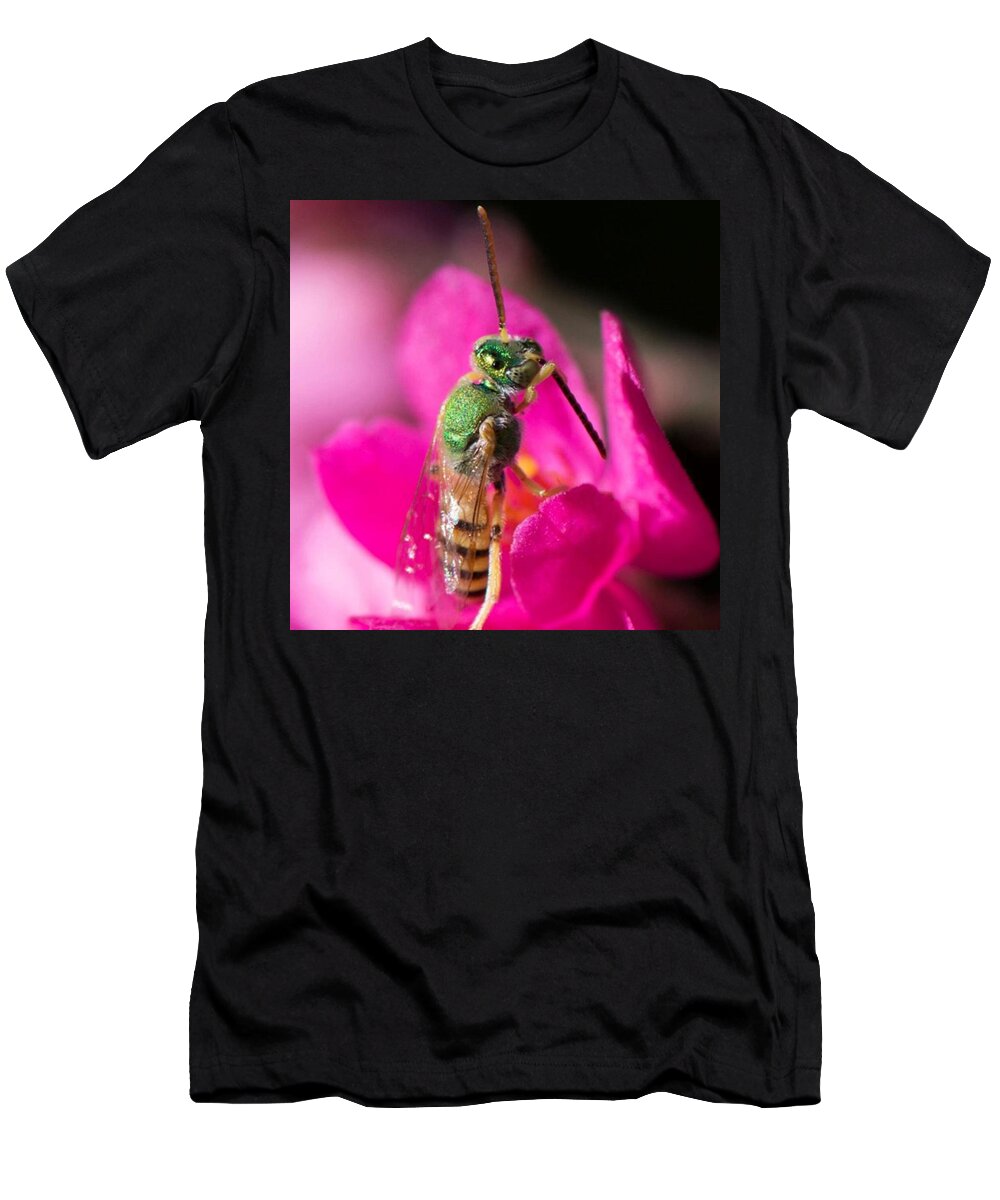 Bee T-Shirt featuring the photograph Close up macro of a green hornet by Michael Moriarty