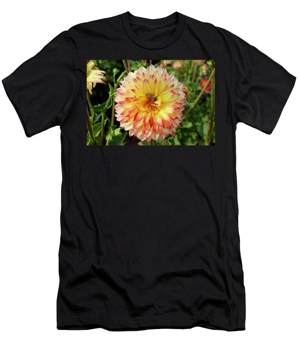 Bee T-Shirt featuring the photograph Bee In The Middle by Brian Eberly