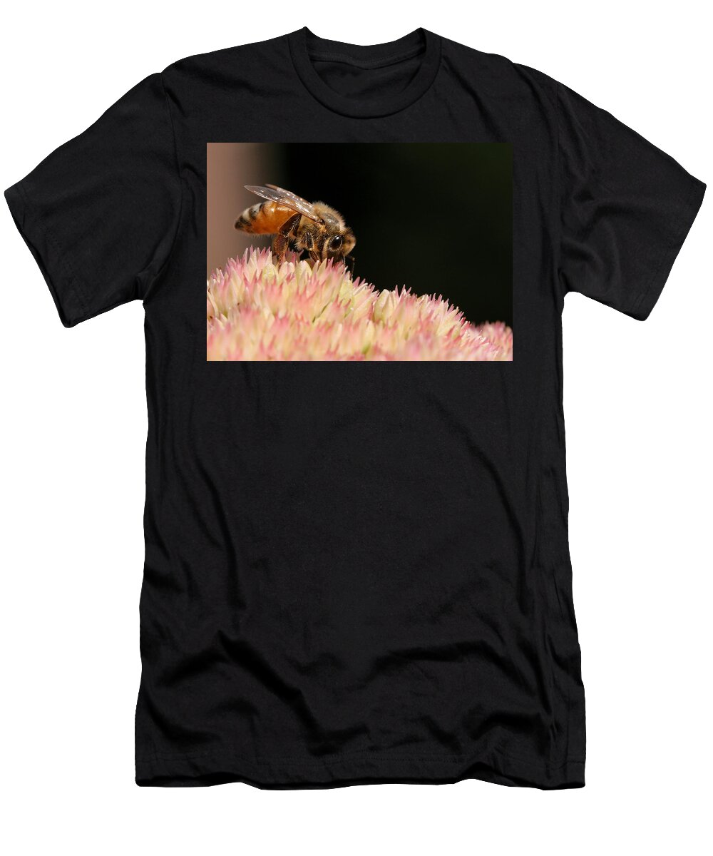 Bee T-Shirt featuring the photograph Bee on Flower 2 by Angela Rath