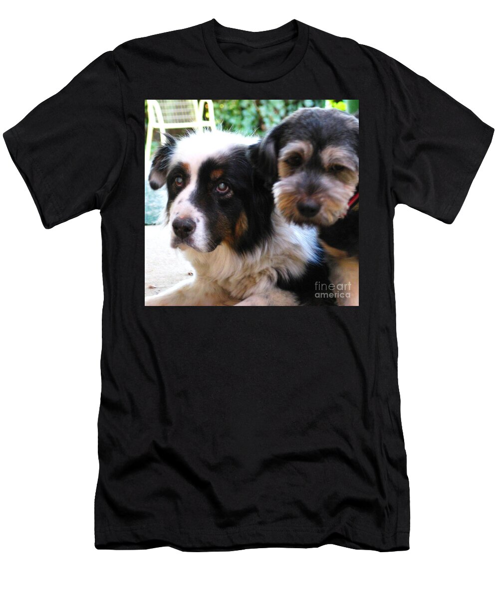 My Pets T-Shirt featuring the painting Beloved Pets by Hazel Holland
