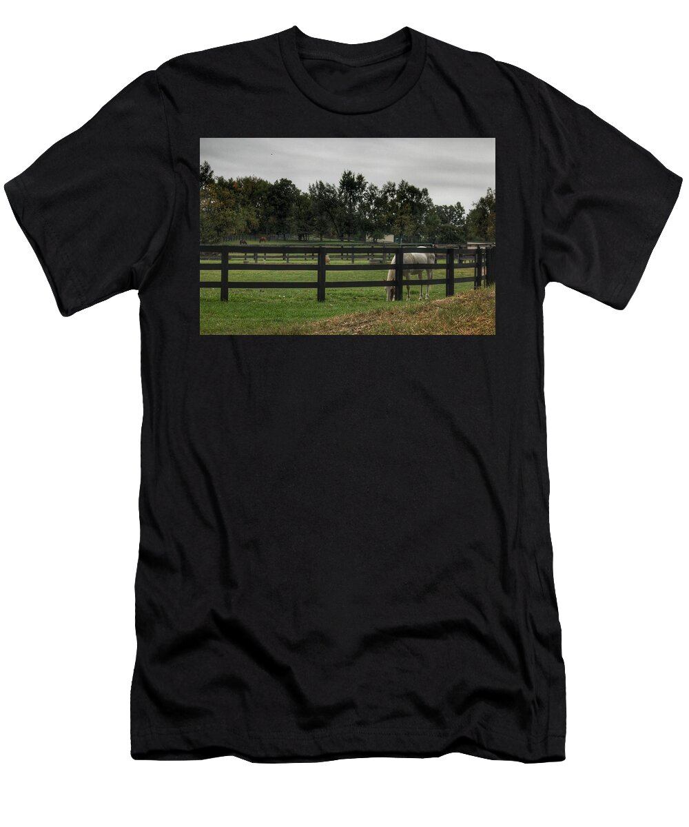 Horse T-Shirt featuring the photograph 1004 - Beyond the Fence White Horse by Sheryl L Sutter