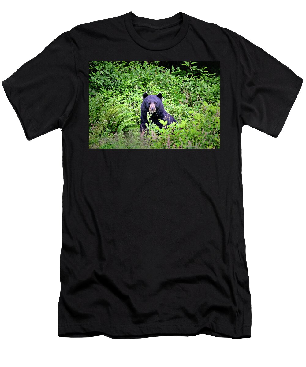 Bears T-Shirt featuring the photograph Black Bear Eating His Veggies by Peggy Collins