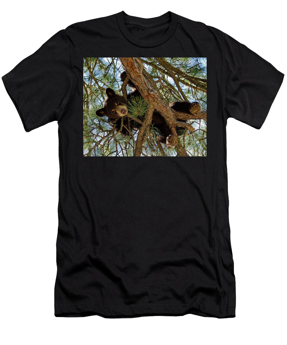 Black Bear T-Shirt featuring the photograph Black Bear by Ron White