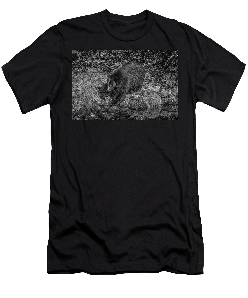 Black Bear T-Shirt featuring the photograph Black Bear Salmon Seeker by Roxy Hurtubise