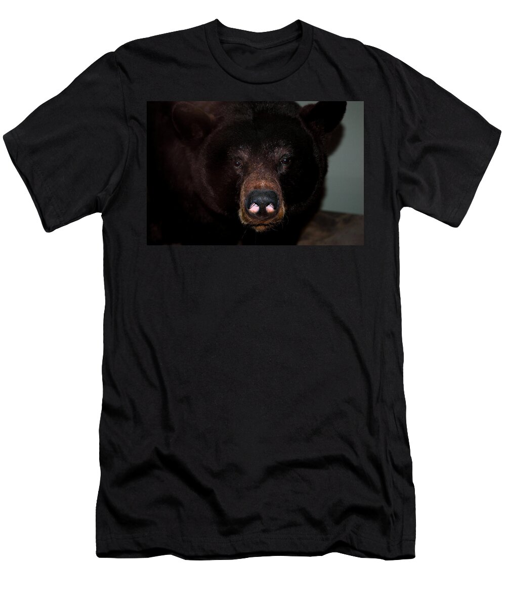 Usa T-Shirt featuring the photograph Black Bear sniff by LeeAnn McLaneGoetz McLaneGoetzStudioLLCcom