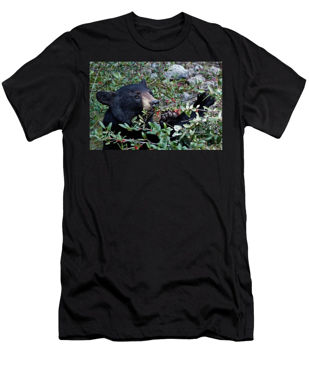 Canada T-Shirt featuring the photograph Black Bear vs Buffaloberries 2 by David Beebe