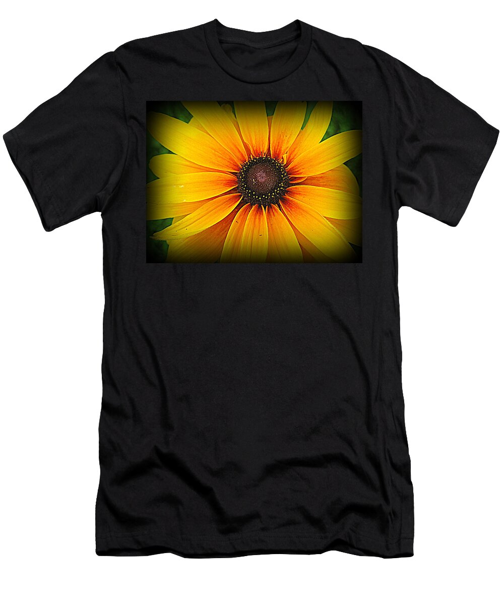Black Eyed Susan T-Shirt featuring the photograph 'Black Eyed Susan' by Suzanne DeGeorge