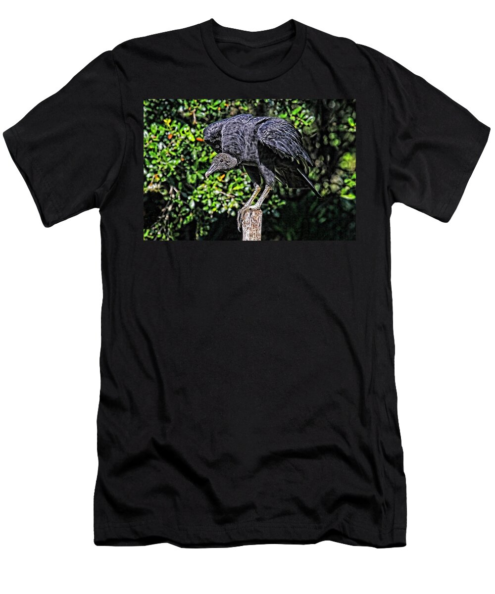 Black Vulture T-Shirt featuring the photograph Black Vulture On A Fence Post by HH Photography of Florida