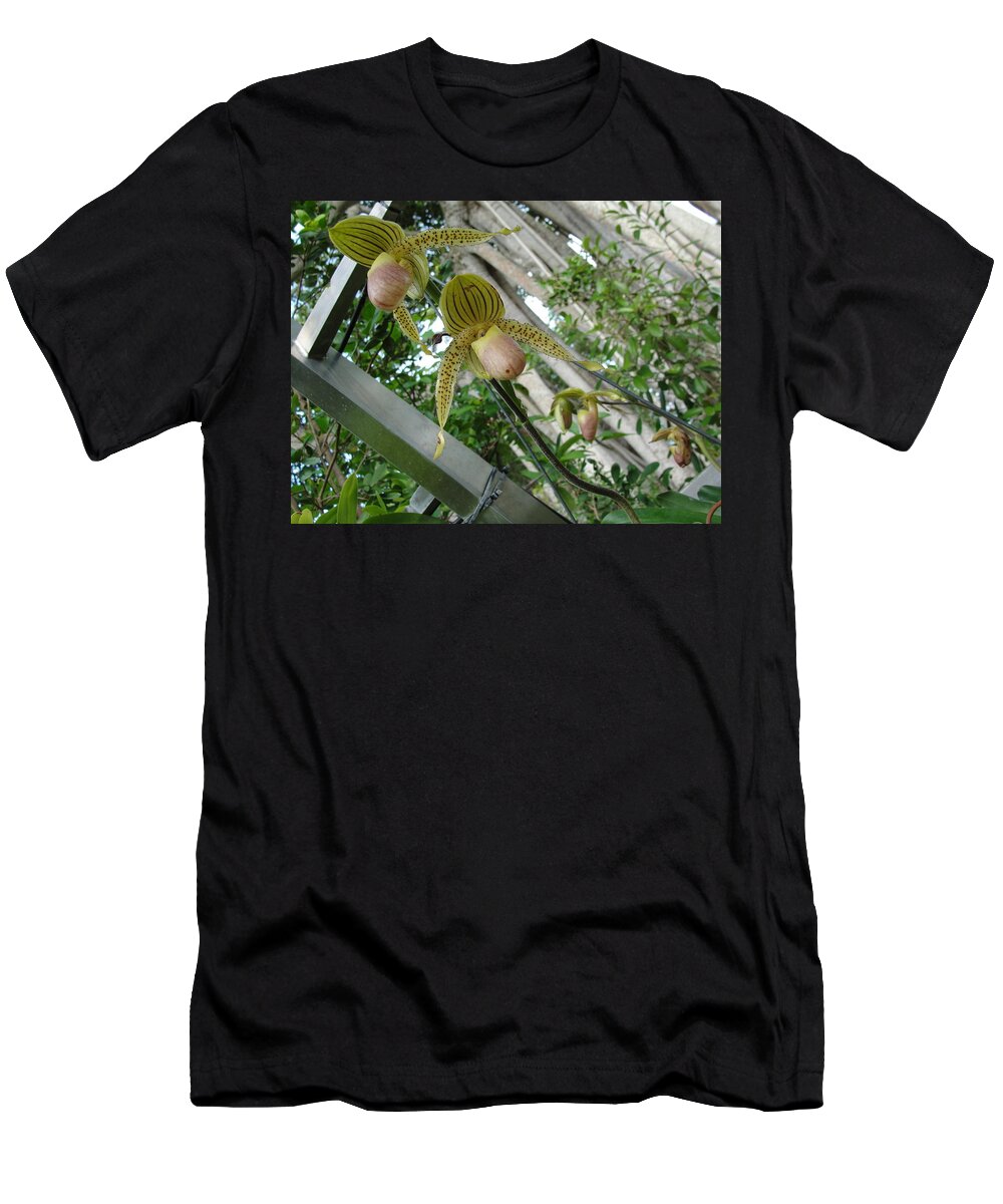Blonde Orchid Buds T-Shirt featuring the photograph Blonde Insect Orchid Buds by Susan Nash