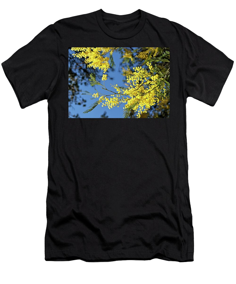 Blossoms T-Shirt featuring the photograph Blooming Acacia Bough by Michele Myers