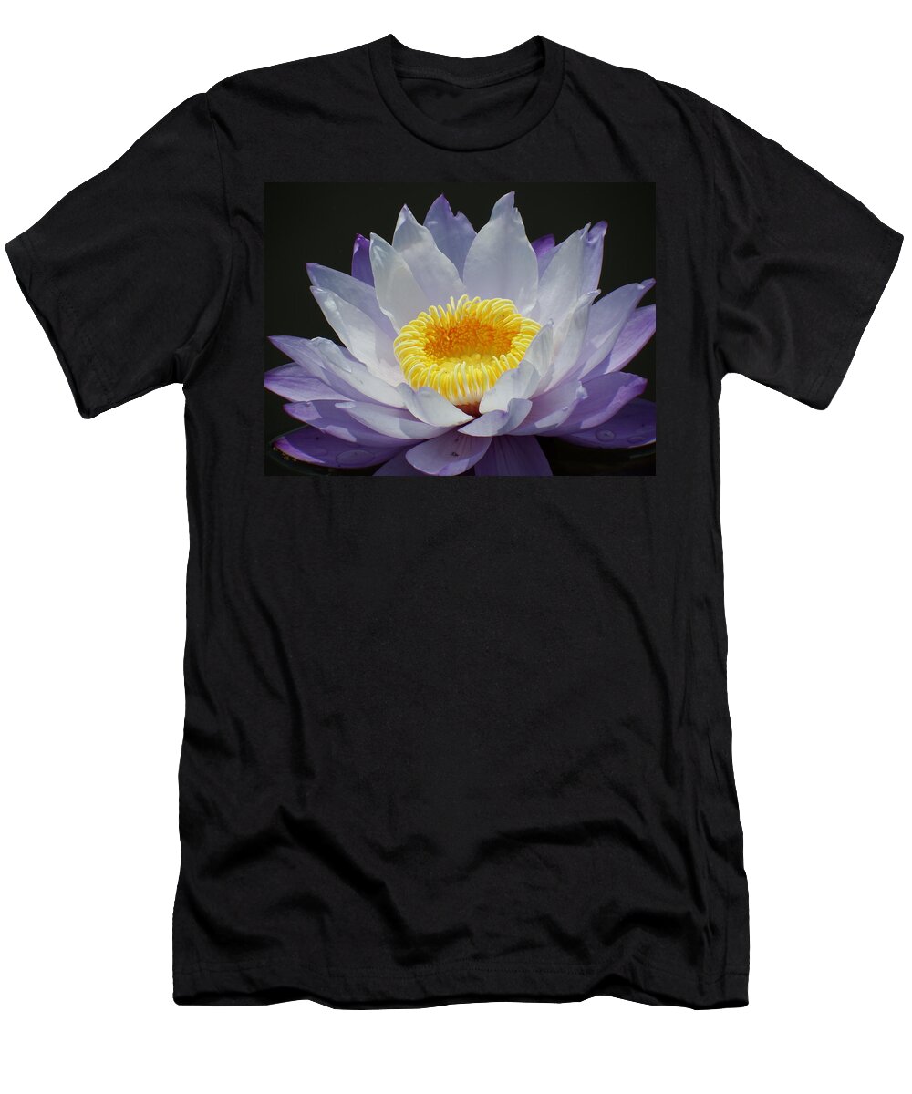 Scoobydrew81 Andrew Rhine Flower Flowers Bloom Blooms Macro Petal Petals Close-up Closeup Nature Botany Botanical Floral Flora Art Color Soft Black Contrast Simple Clean Crisp Spring Blue Water Lilly Yellow Pond Tropical T-Shirt featuring the photograph Blue Water Lilly 2 by Andrew Rhine