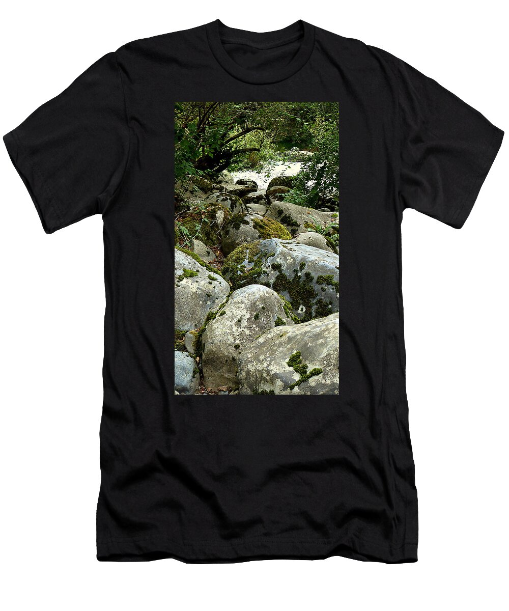 Rocks T-Shirt featuring the photograph Boulders at Kanaskat by Lori Seaman