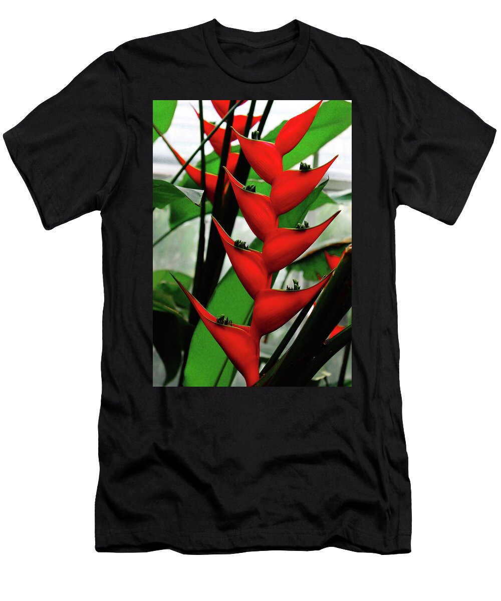 Decorative T-Shirt featuring the photograph Bright Red Flower by Rod Whyte