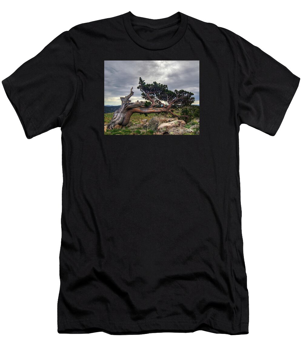 Fine Art Photography T-Shirt featuring the photograph Bristlecone Pine by John Strong