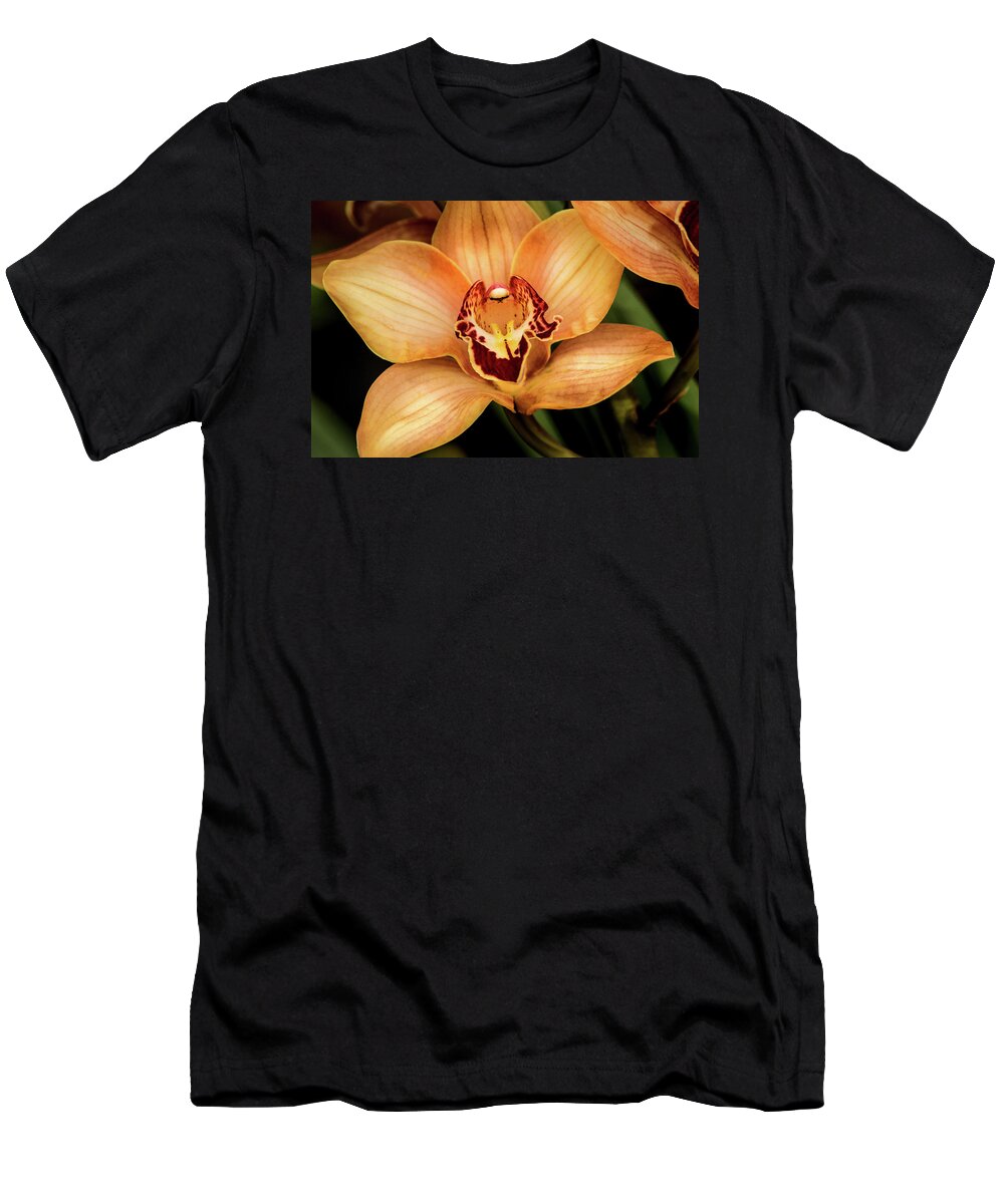 Flower T-Shirt featuring the photograph Brookside Orchid by Don Johnson