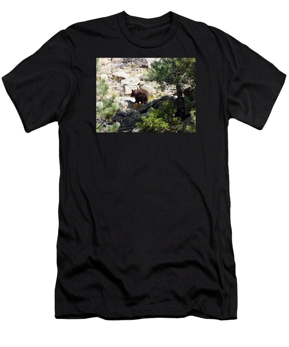 Wildlife Bear Rocky Mountains Nature Forest Rocks T-Shirt featuring the photograph Brown bear by George Tuffy