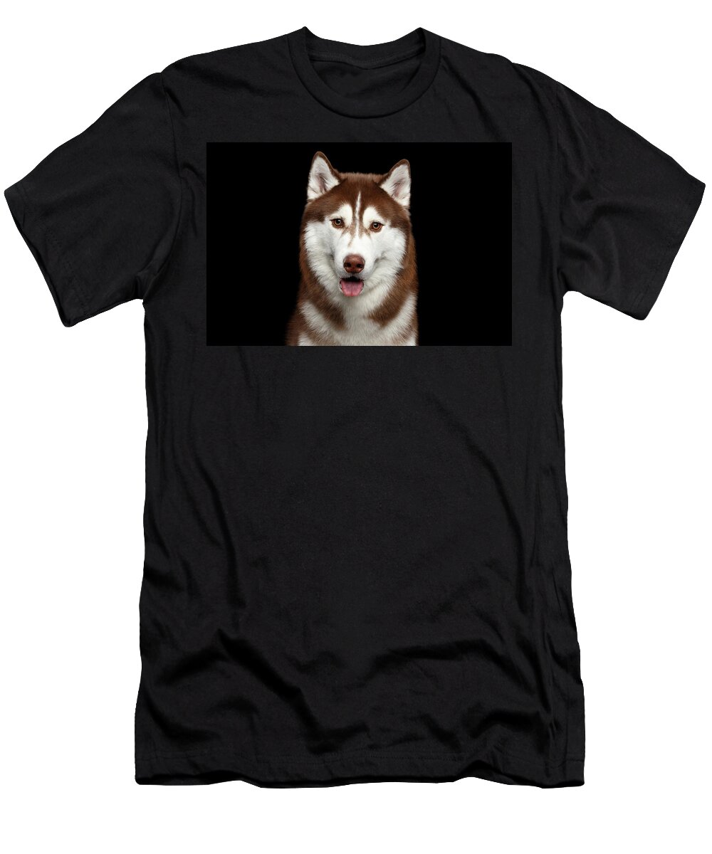 Brown T-Shirt featuring the photograph Brown Husky by Sergey Taran