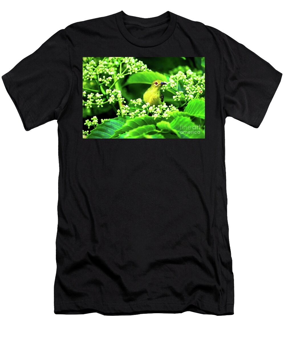 Animal T-Shirt featuring the photograph Brown Neck Sunbird by Ray Shiu