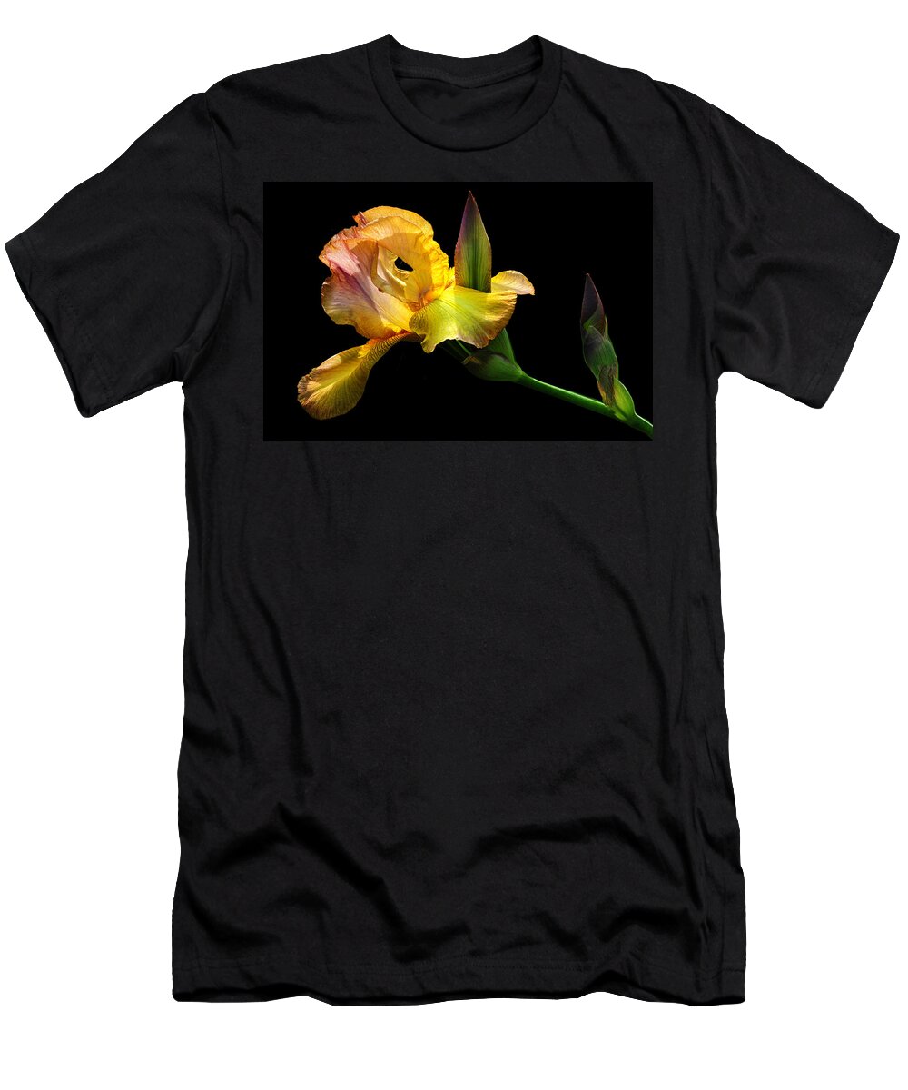 Iris T-Shirt featuring the photograph Budding Iris by Dave Mills