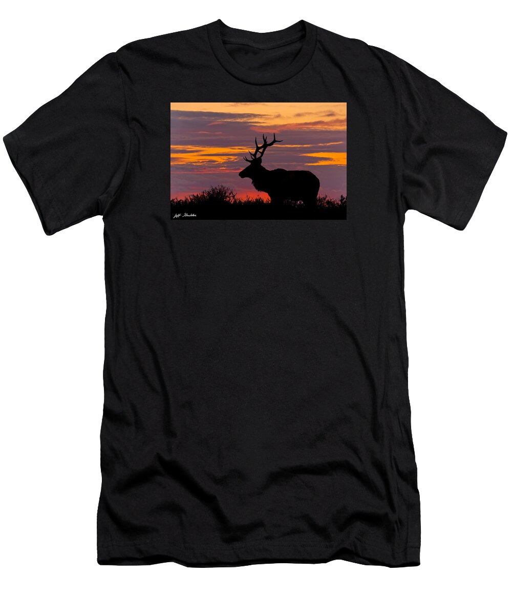 Animal T-Shirt featuring the photograph Bull Tule Elk Silhouetted at Sunset by Jeff Goulden