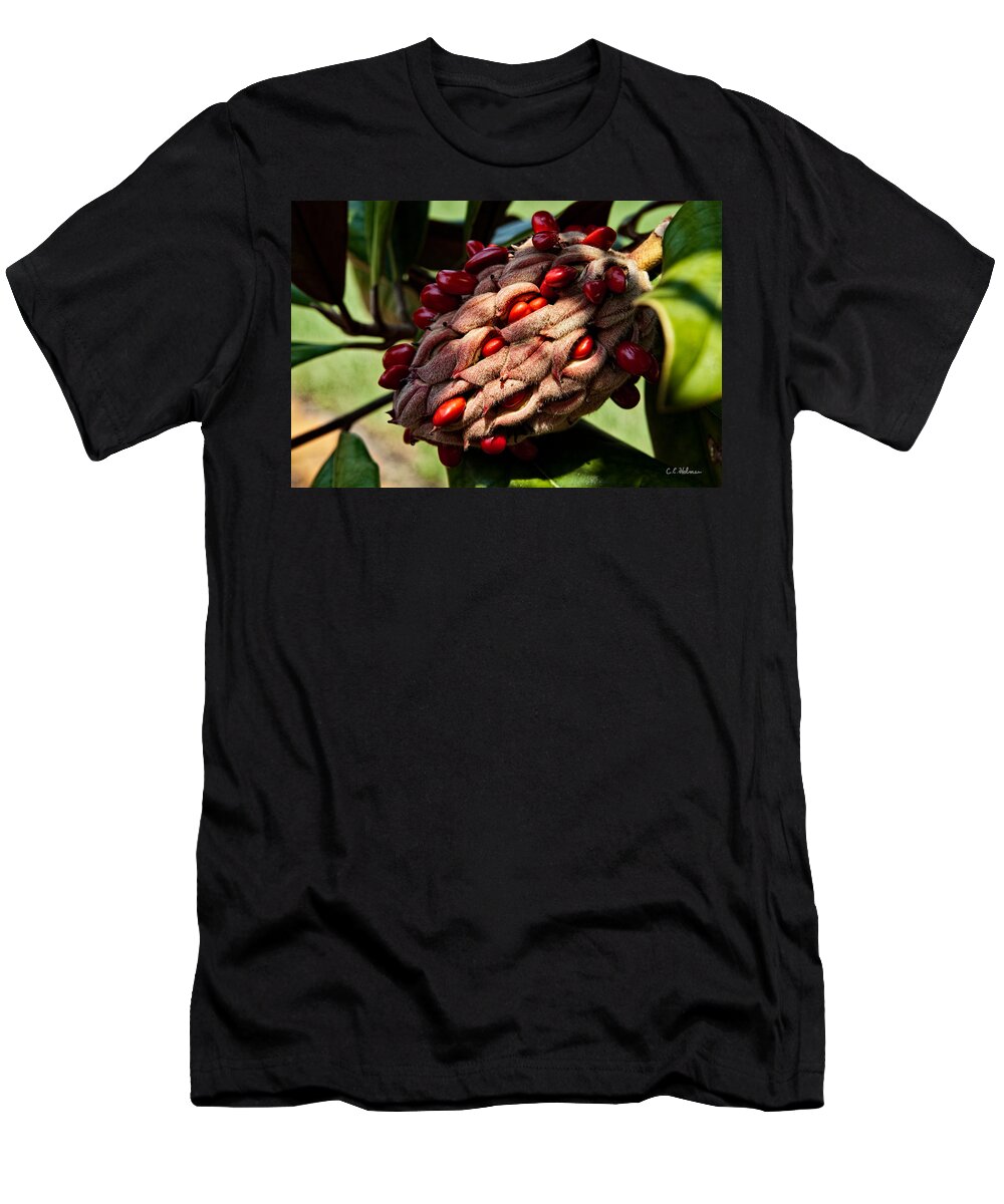 Seed T-Shirt featuring the photograph Bursting Forth by Christopher Holmes