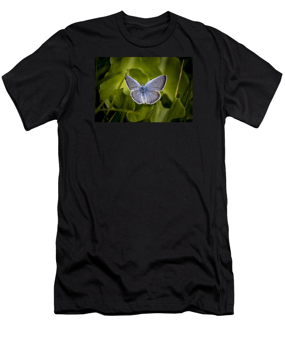  T-Shirt featuring the photograph Butterfly 11 by Reed Tim