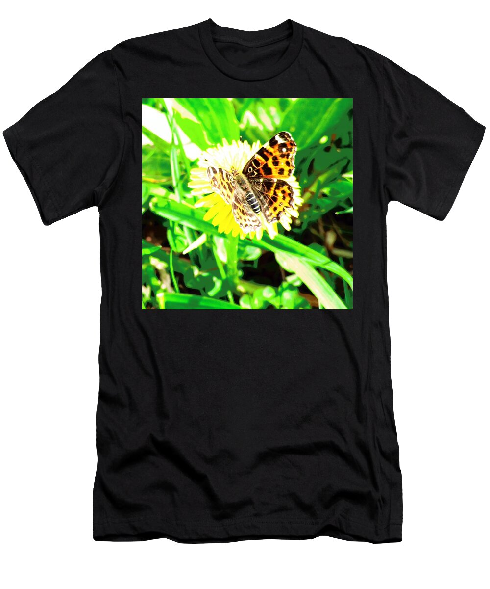 Dandelion T-Shirt featuring the photograph Butterfly by Vesna Martinjak