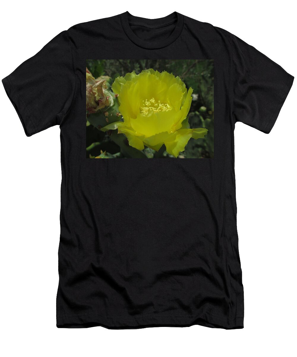 Cactus Flower T-Shirt featuring the photograph Cactus Flower in bloom by Kevin Caudill