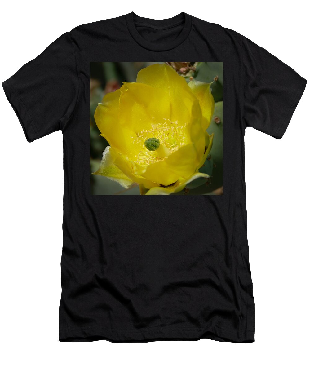 Cactus T-Shirt featuring the photograph Cactus Flower by Laurel Powell