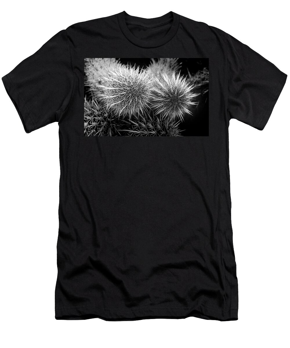Cactus T-Shirt featuring the photograph Cactus Spines by Phyllis Denton