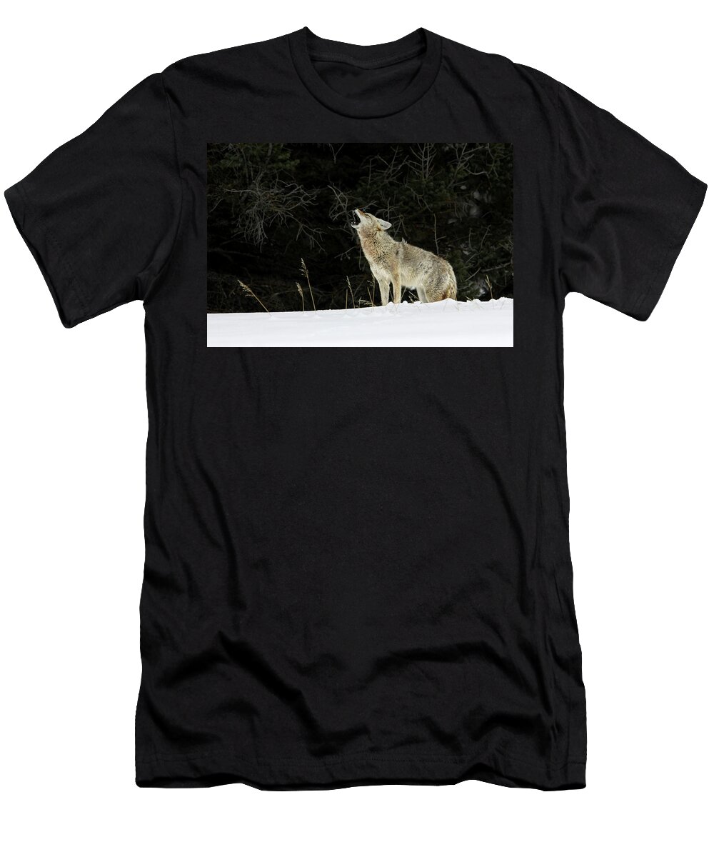 Coyote T-Shirt featuring the photograph Call of the Wild by Ronnie And Frances Howard