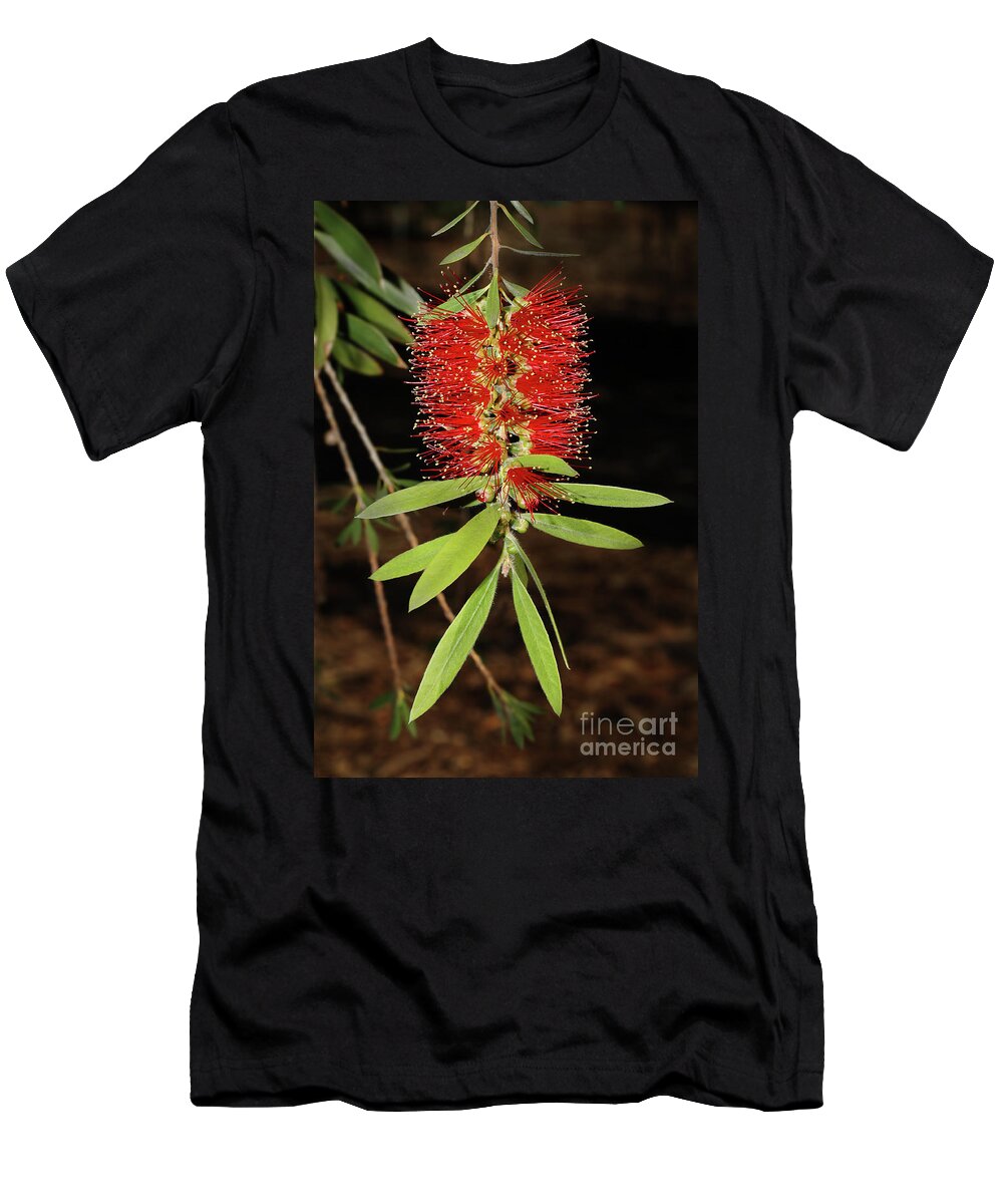 Australia T-Shirt featuring the digital art Callistemon Viminalis - Weeping Bottlebrush by Nicholas Burningham
