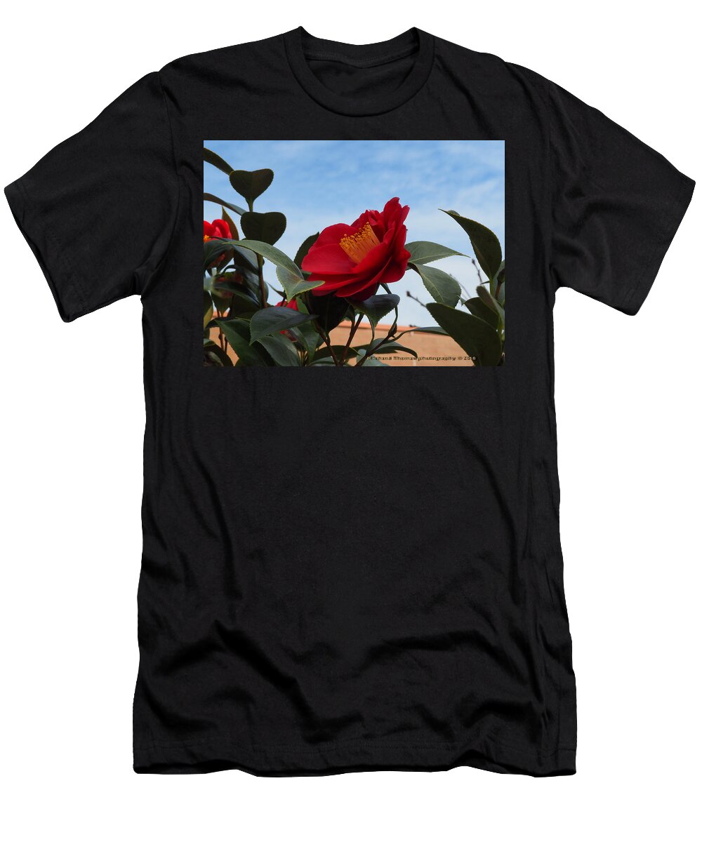 Botanical T-Shirt featuring the photograph Camellia Kissing the Sky by Richard Thomas