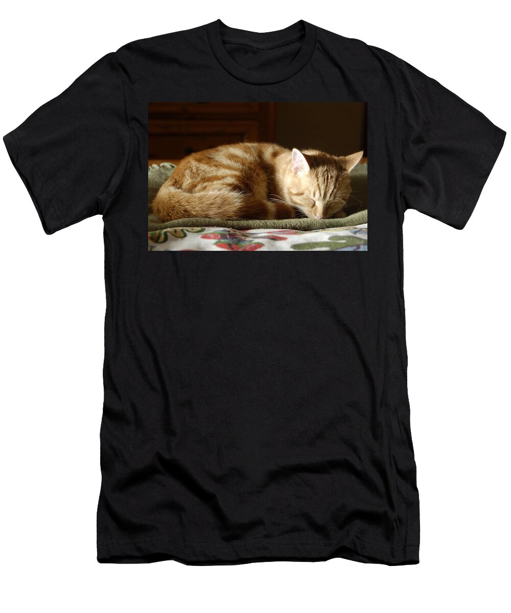 Cat T-Shirt featuring the photograph Cat nap by David Lee Thompson