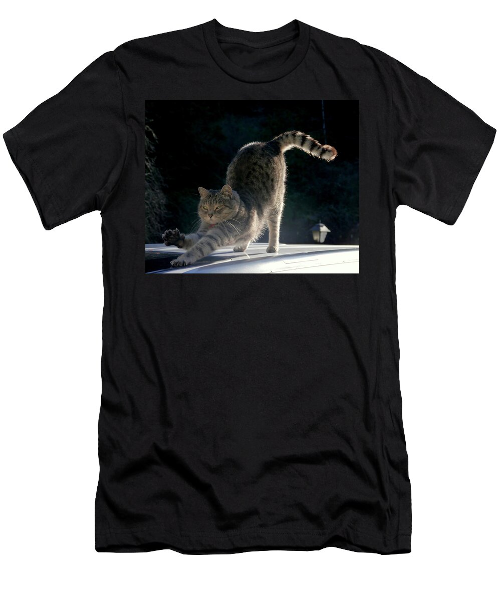 Cat T-Shirt featuring the photograph Cat Yoga by Peter Mooyman