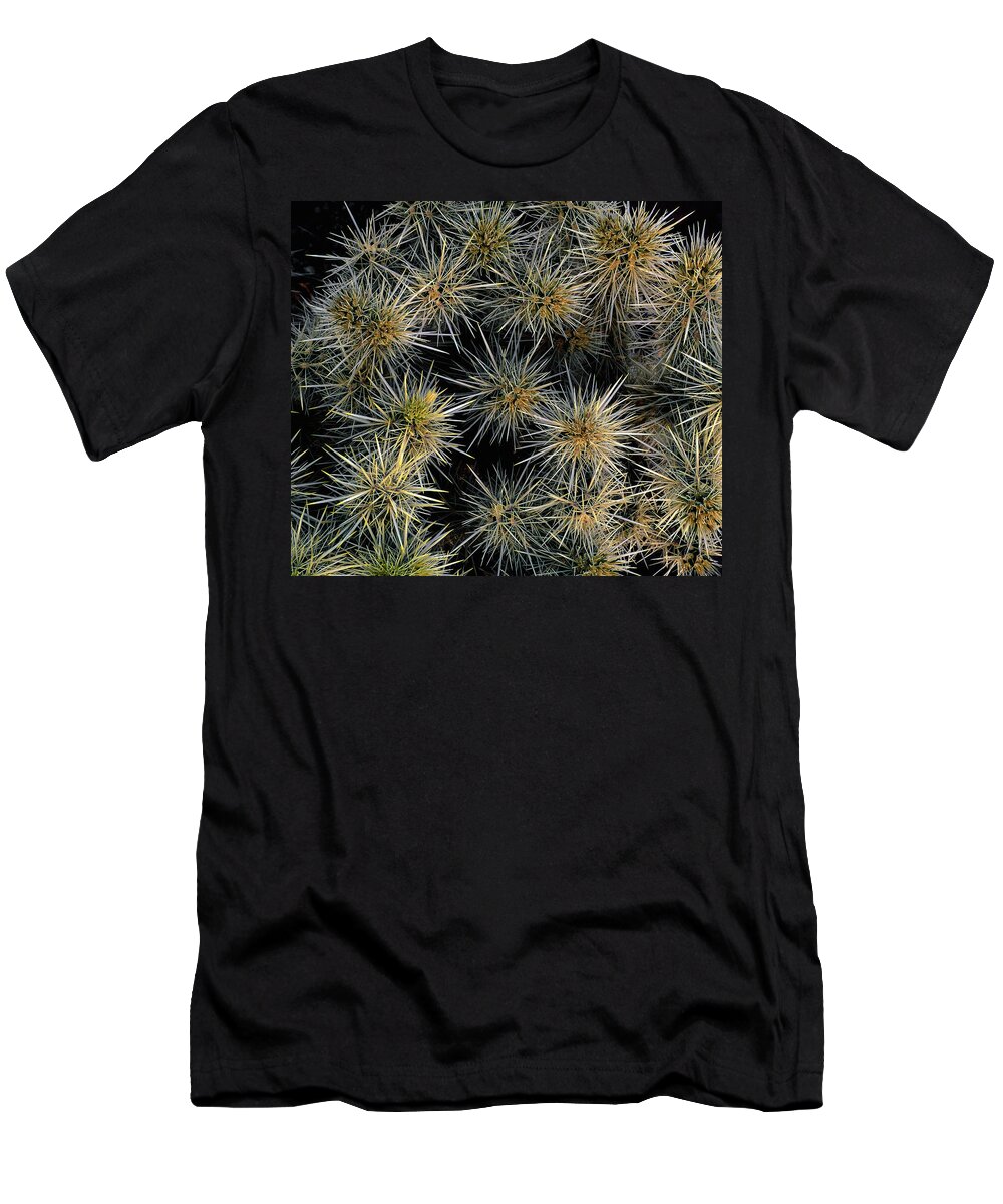 Landscape T-Shirt featuring the photograph Cholla Cactus Cluster by Paul Breitkreuz