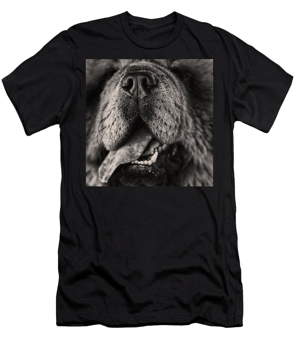 Animal T-Shirt featuring the photograph Chow Chow by Stelios Kleanthous