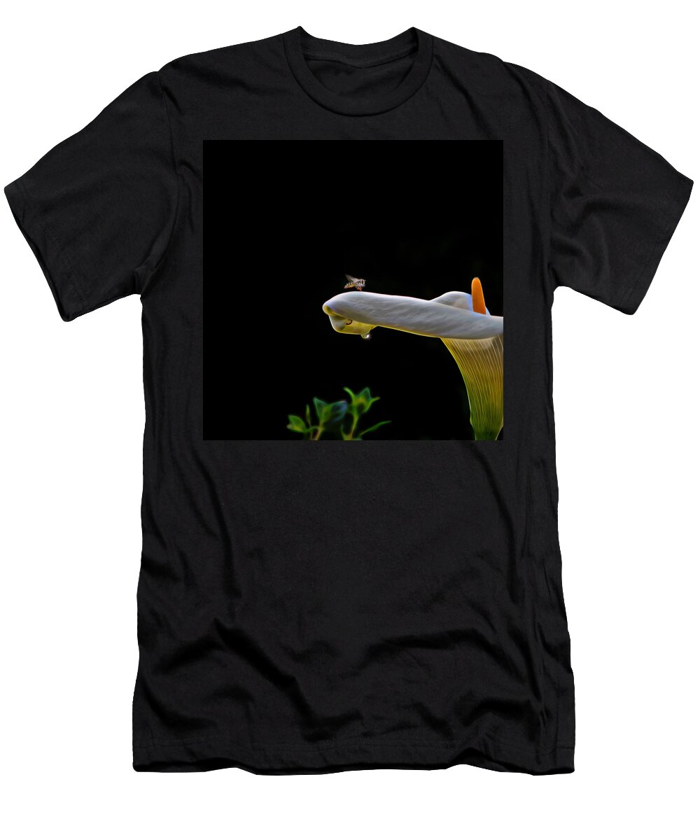 Bee T-Shirt featuring the photograph Clear For Landing by Mike Gifford