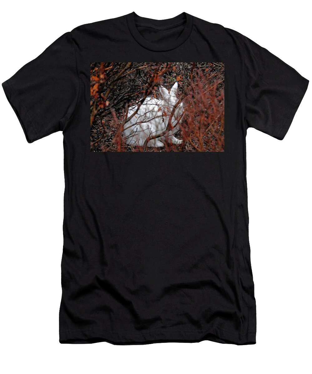 Climate-change T-Shirt featuring the photograph Climate-Change-Hindered Hiding Hare by Ted Keller