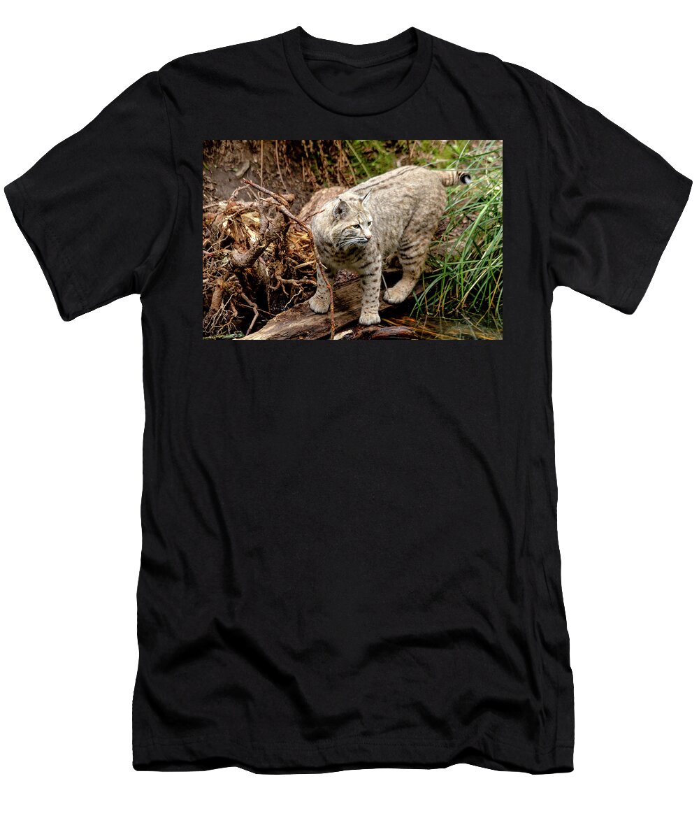 Animal T-Shirt featuring the photograph Close up of Wild Bobcat by Teri Virbickis