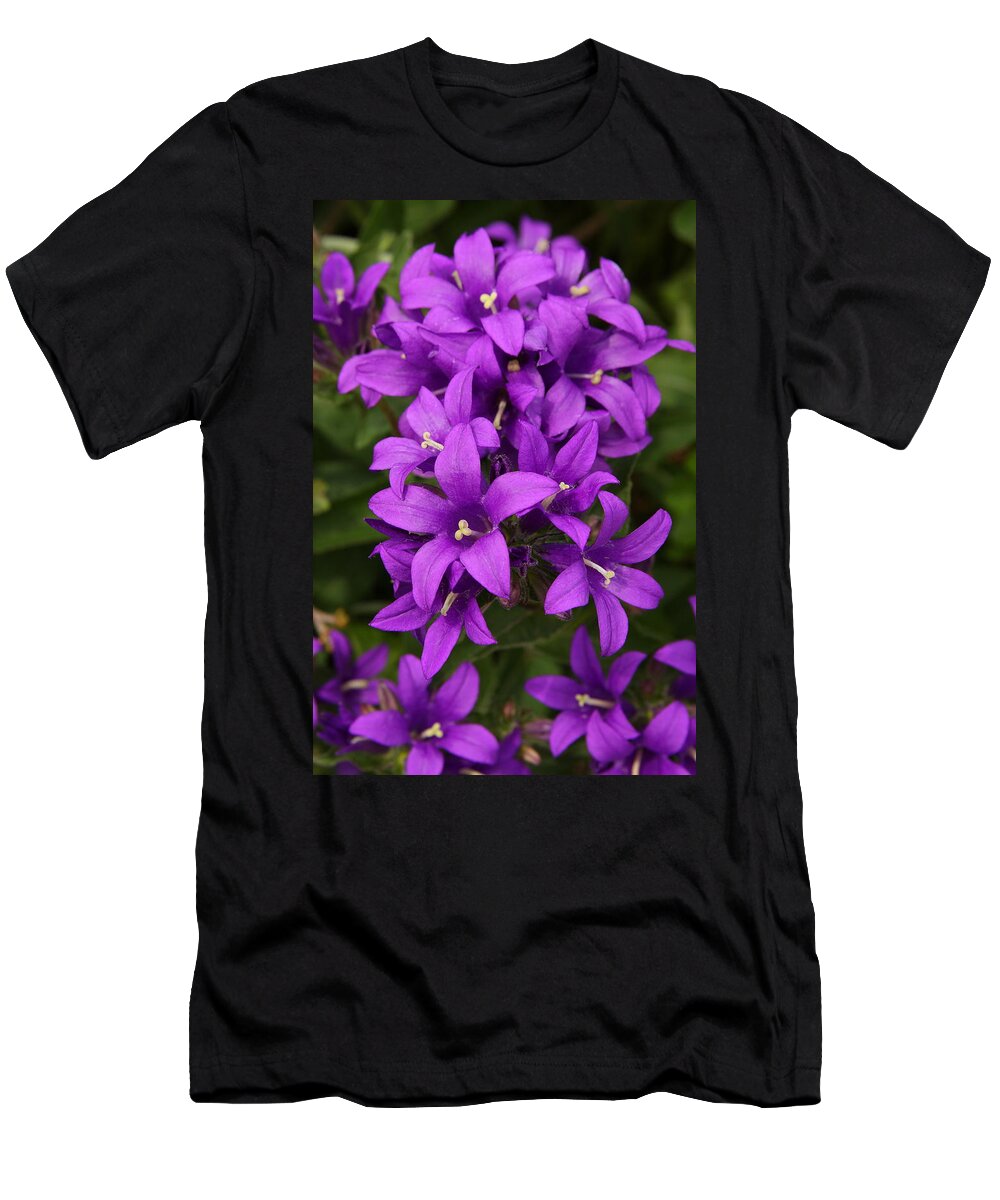 Flower T-Shirt featuring the photograph Clustered Bellflower by Lyle Hatch