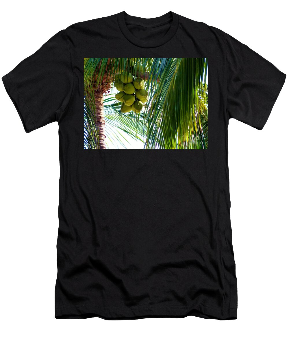 Palm Trees T-Shirt featuring the photograph Coconuts by Rosanne Licciardi