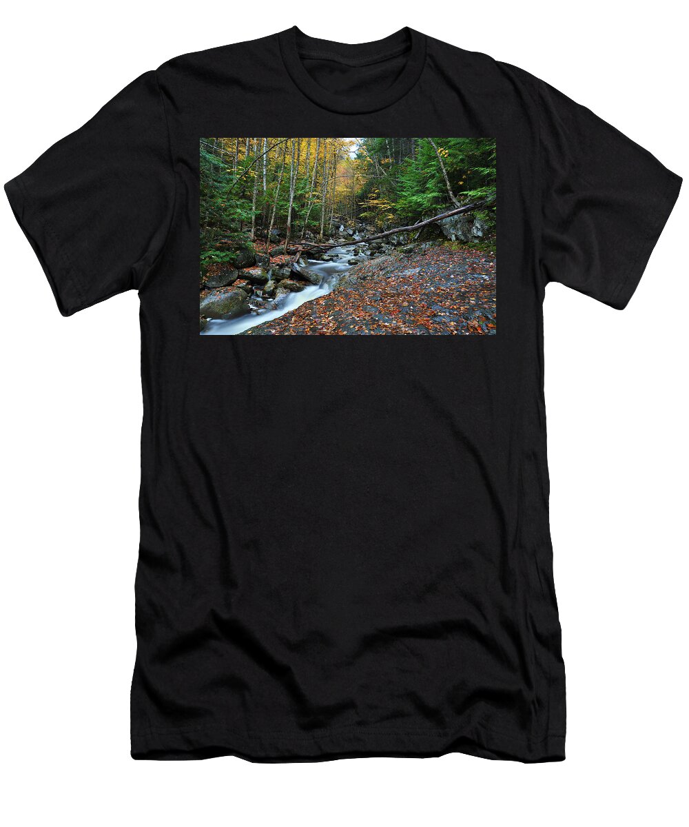 Photograph T-Shirt featuring the photograph Coffee and Cream by Richard Gehlbach