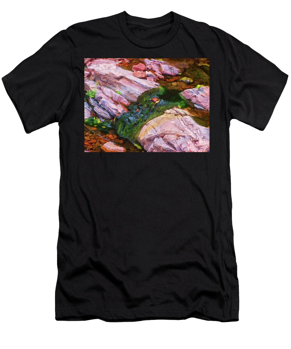 Home Decor T-Shirt featuring the painting Colorado Springs area Digital Oil #28 by Flees Photos