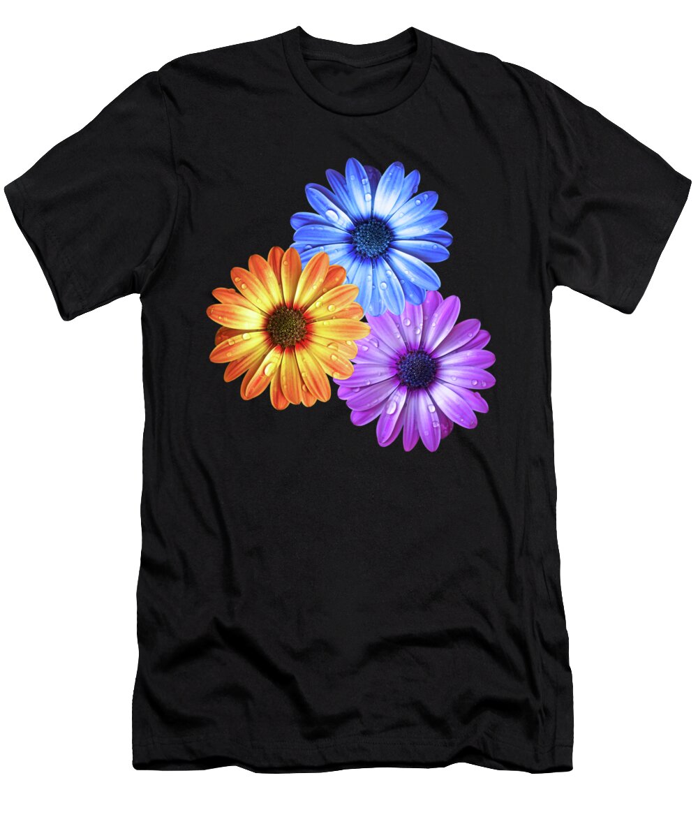 Daisy T-Shirt featuring the photograph Colorful Daisies with Water Drops On Black by Gill Billington