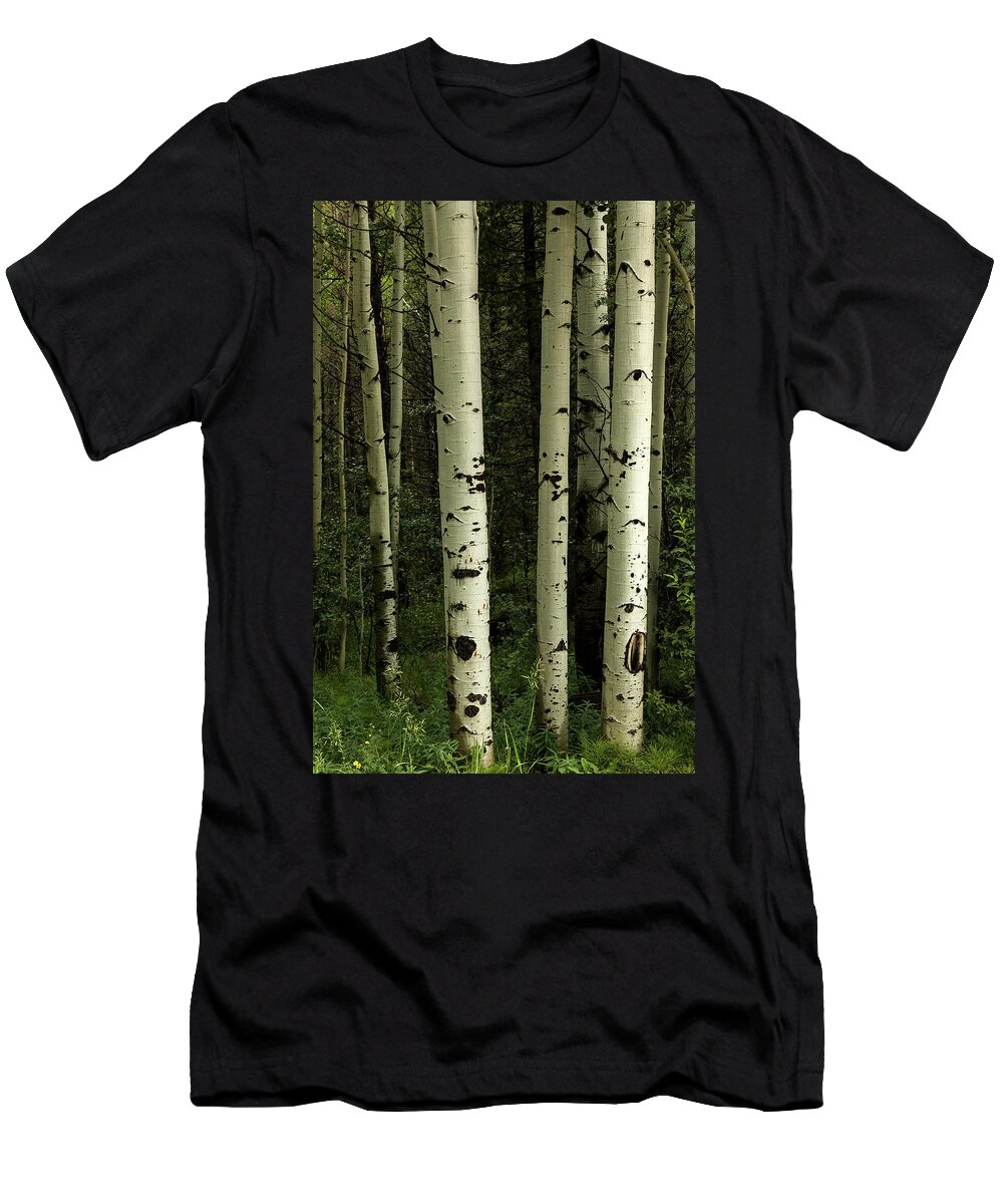Aspen Trees T-Shirt featuring the photograph Texture Of A Forest by James BO Insogna