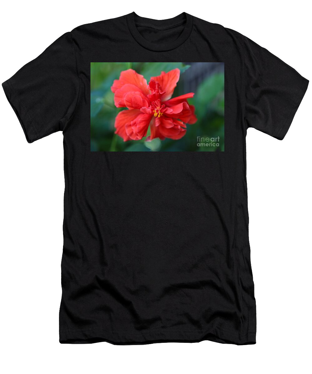 Hibiscus T-Shirt featuring the photograph Colors of the Tropics Hibiscus by Carol Groenen