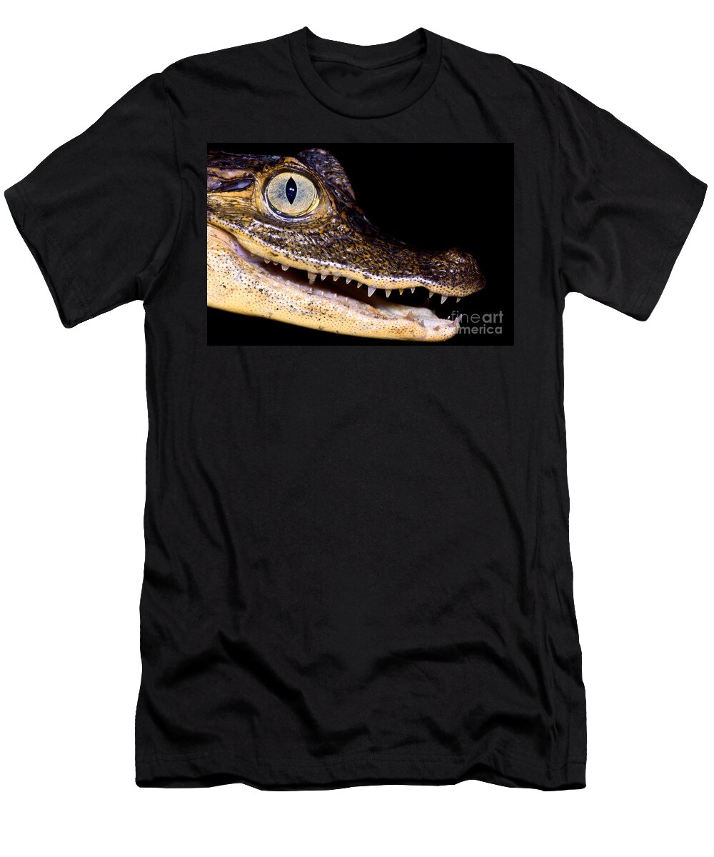Common Caiman T-Shirt featuring the photograph Common Caiman by Dant Fenolio