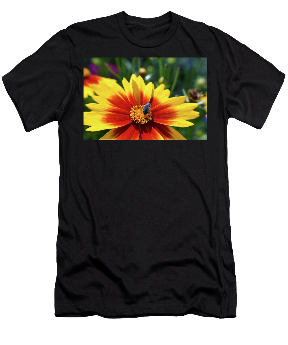 Bee T-Shirt featuring the photograph Complimentary Colors by Artful Imagery