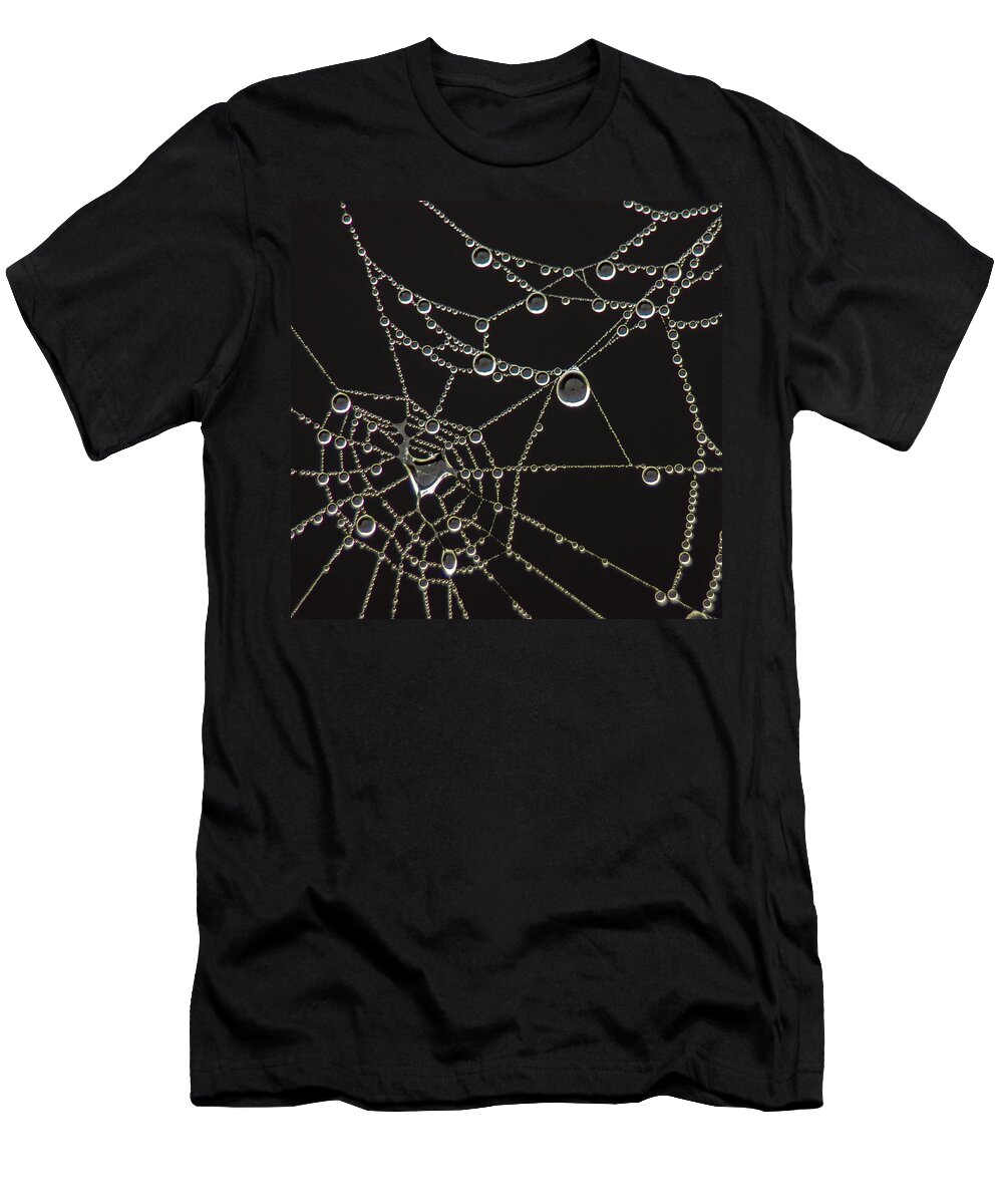 Spider Web T-Shirt featuring the photograph Connect the Dots by Bill Pevlor